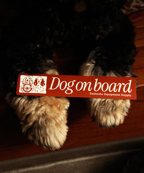 Dog on board Car Magnet Ⅱ