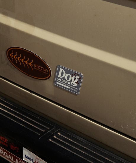 Dog on board Car Magnet