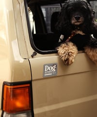 Dog on board Car Magnet