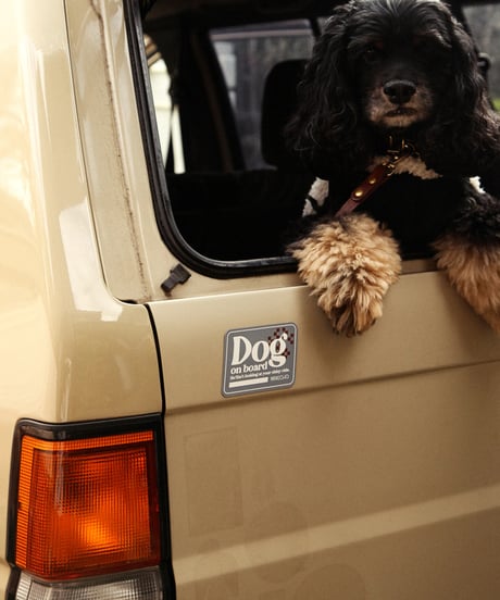 Dog on board Car Magnet