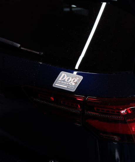 Dog on board Car Magnet