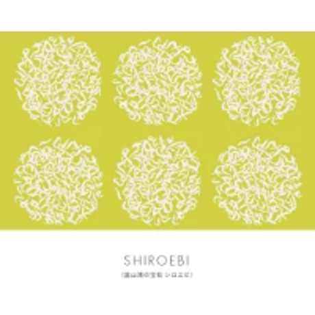 【富山もよう】ポストカード