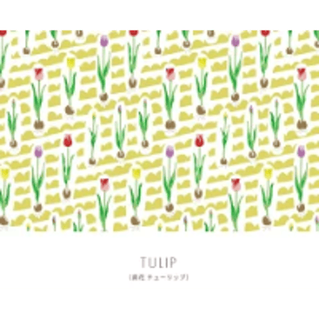 【富山もよう】ポストカード