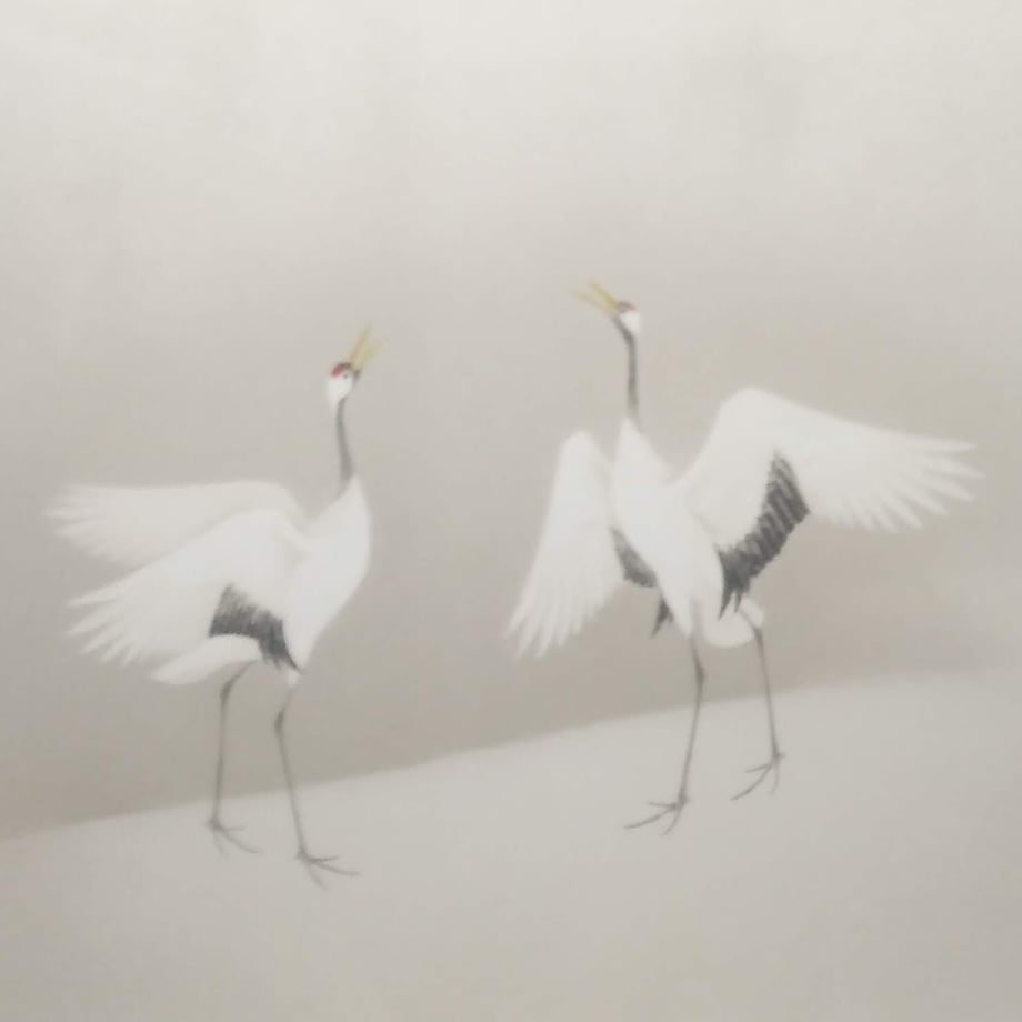 67ee209f559798697b96ca79