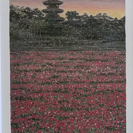 澁澤　卿　版画（ジクレ）　「春暁廣香」　高級額装　限定180