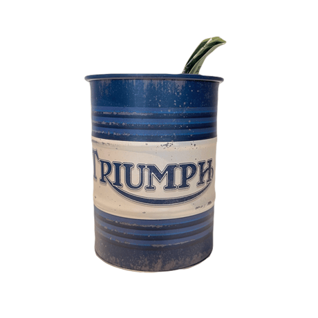 TRIUMPH MONEY BOX OIL BARREL