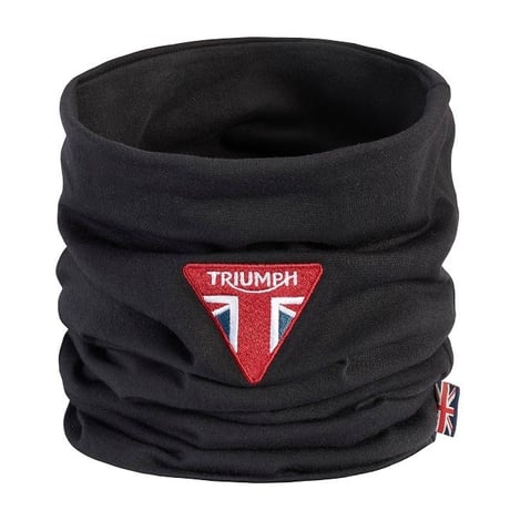 トライアンフ 純正　TYIPIE765RS ㋬ットラウトセット美品 S914f7150974b4f0a89bf5ae6a0315