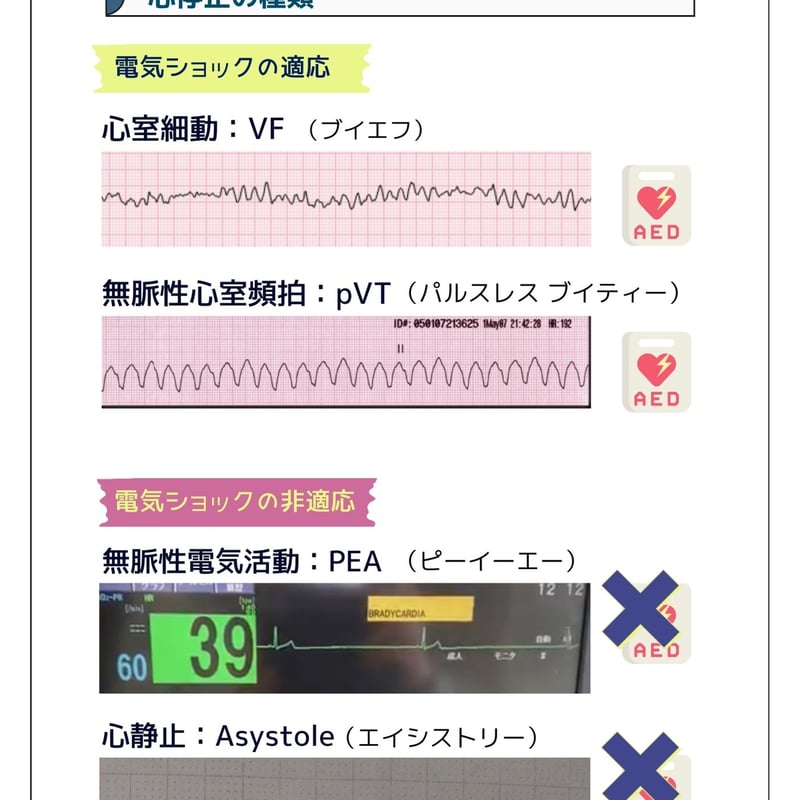 NCLS公式テキスト(紙媒体) | CODE BLUE