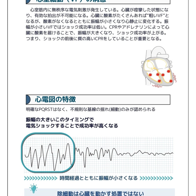 NCLS公式テキスト(紙媒体) | CODE BLUE