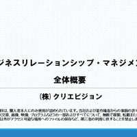 ビジネスリレーションシップ・マネジメント　全体概要