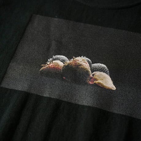 rotten t-shirts vol.01