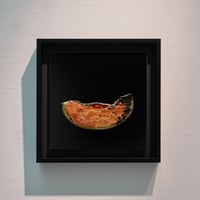 rotten melon