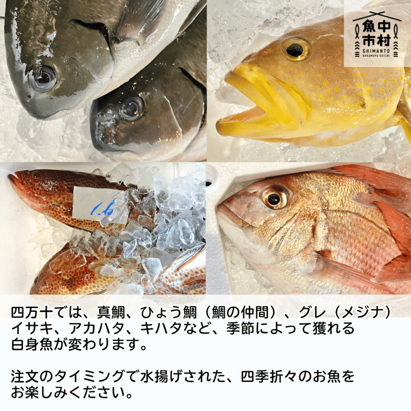 季節の天然魚 昆布〆（冷凍） | カツオのたたき・海鮮丼を産直通販