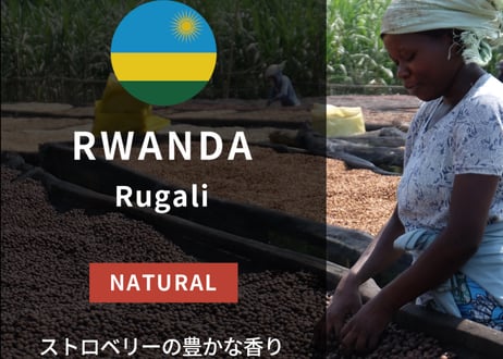 🇷🇼 ルワンダ ルガリCWS（ナチュラル）
