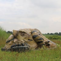 眠るアンキロサウルス / Sleeping Ankylosaurus