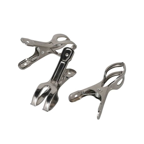 Stainless steel clothespins. S/5
