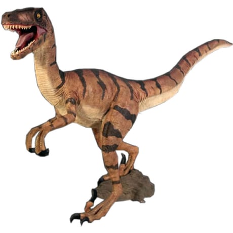ヴェロキラプトル / Velociraptor