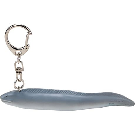SEALIFE KeyChain アナゴ