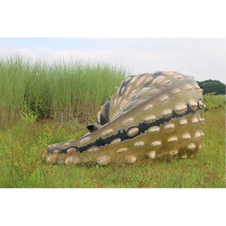 眠るアンキロサウルス / Sleeping Ankylosaurus