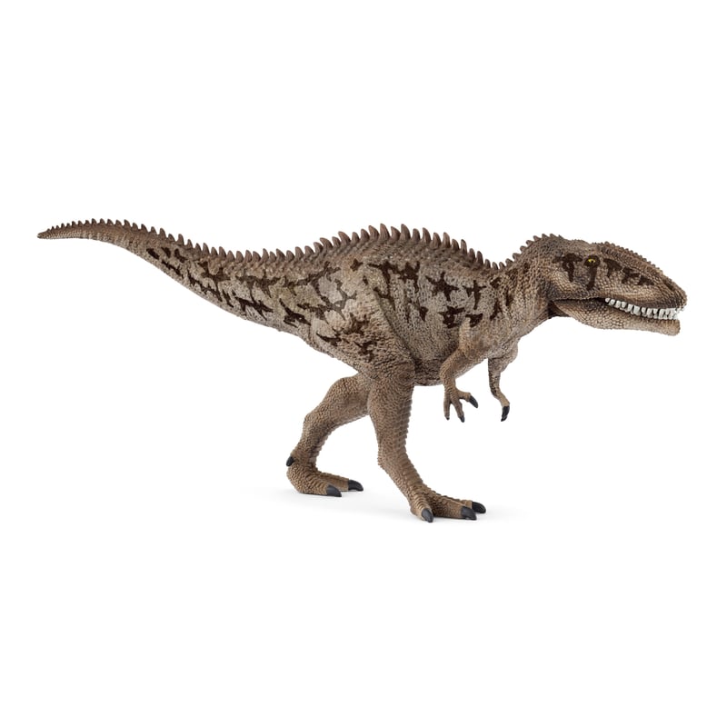 15048 カルカロドントサウルス | LAB & BASE STORE