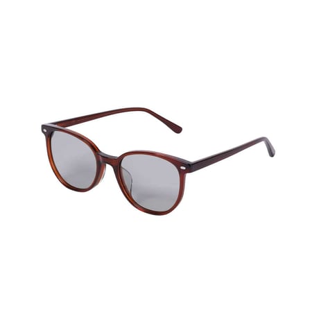 GLASS WITH COLOR LENS BROWN/GRAY