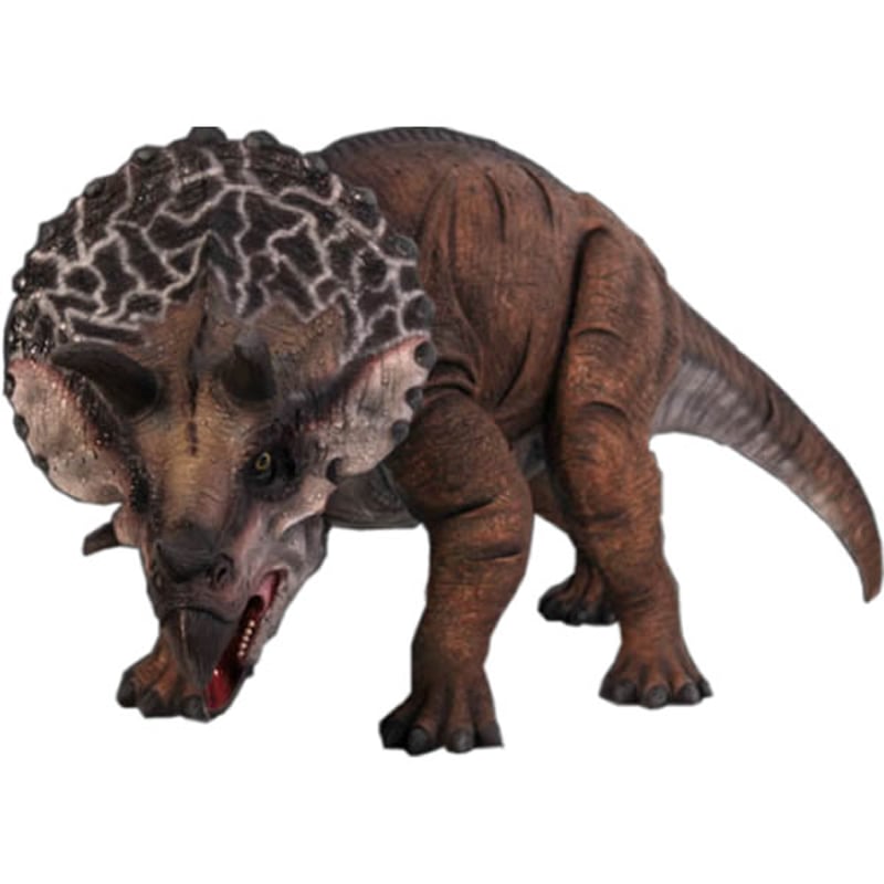 小型版トリケラトプス / Definitive Triceratops | LAB & BAS