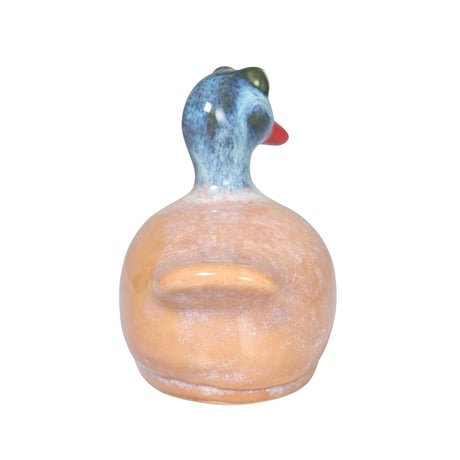 FLOATING DUCK PINK/BLUE
