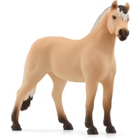 13979 フィヨルド（オス）