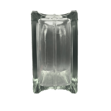 GLASS BLOCK BANK DINOSAUR / DINO EARTH