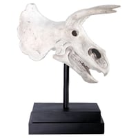 トリケラトプスの頭骨 / Triceratops Skull on Base