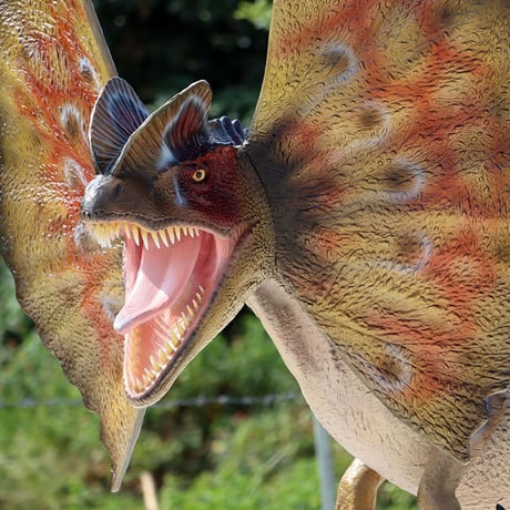 ディロフォサウルス / Dilophosaurus