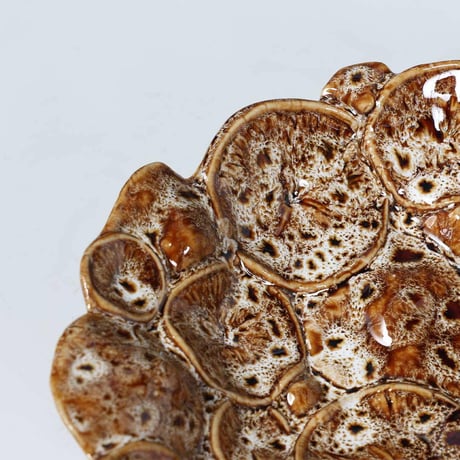 OYSTER MUSHROOM COIN TRAY