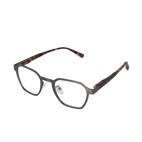 READING GLASSES GUN/TORTOISE