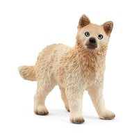 ホッキョクオオカミ（仔）