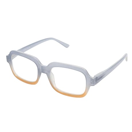 READING GLASSES BLUE/ORANGE