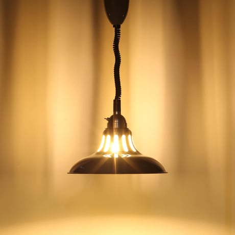 EXTENSION PENDANT WORK LAMP GRAY