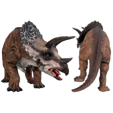 小型版トリケラトプス / Definitive Triceratops