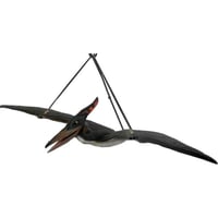 ベビープテラノドン / Baby Pteranodon