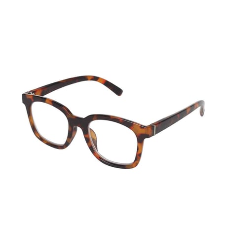 READING GLASSES  TORTOISE