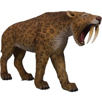 サーベルタイガー / Smilodon - Saber-toothed Cat