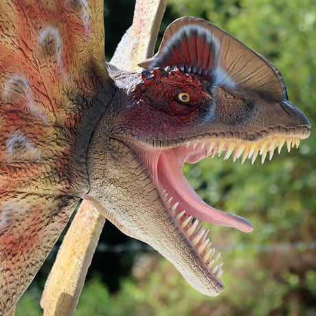 ディロフォサウルス / Dilophosaurus