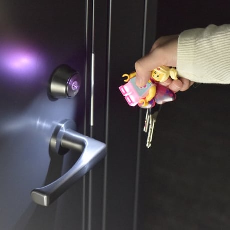 LEGO　バタフライガール　キーライト