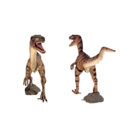 ヴェロキラプトル / Velociraptor