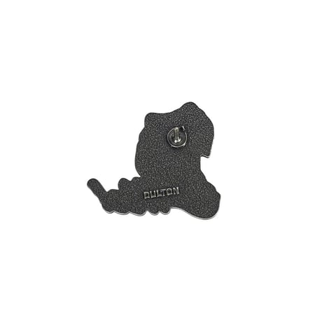 Pins Me tyrannosaurus