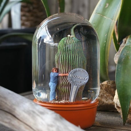 PLANTS WATER GLOBE CACTUS WITH MAN