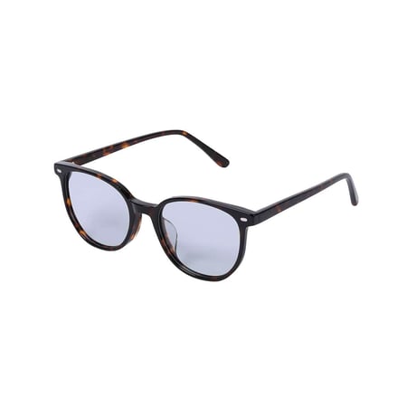 GLASS WITH COLOR LENS TORTOISE/BLUE