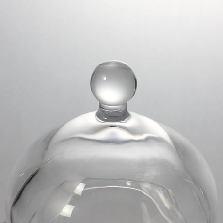 SMALL GLASS DOME L
