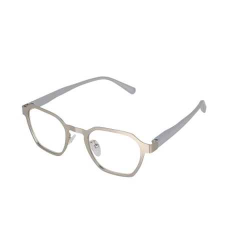 READING GLASSES SILVER/LIGHT GRAY