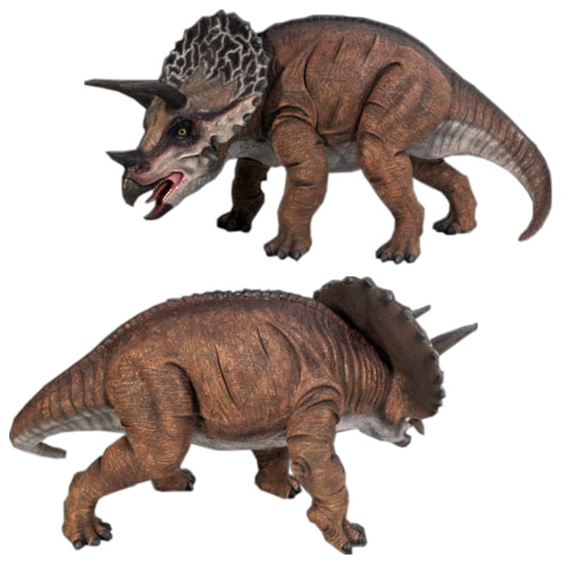 小型版トリケラトプス / Definitive Triceratops | LAB & BAS