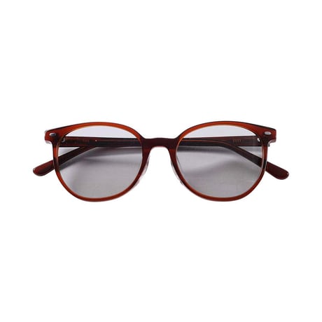 GLASS WITH COLOR LENS BROWN/GRAY